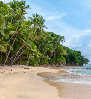 services-img Services Img